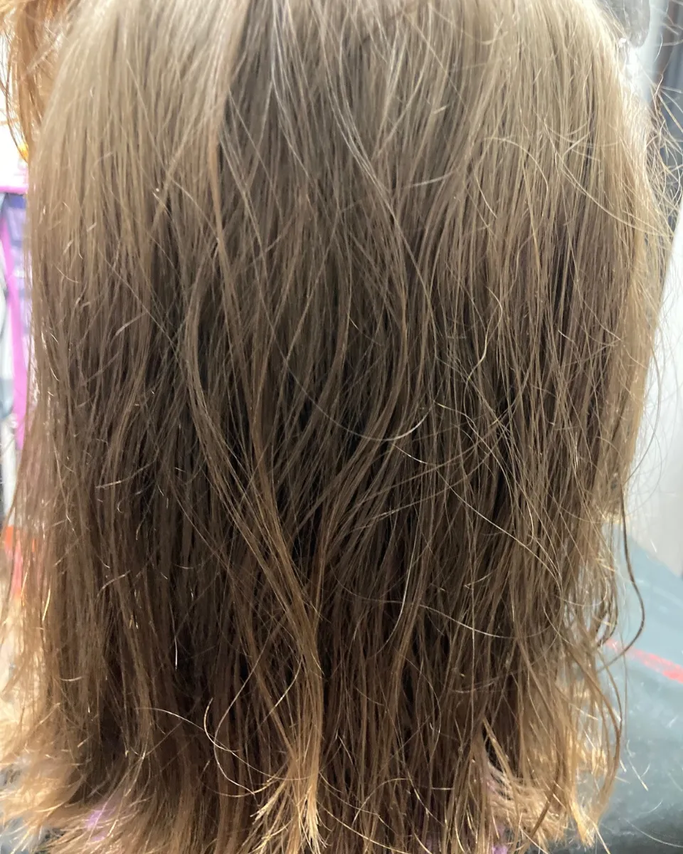 Brown hair before red balayage